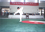 杨美兰师父当年参加于中国的陈式太极拳比赛 Sifu Yeong Hou Lan participated in Taijiquan (Taichi) competition in China